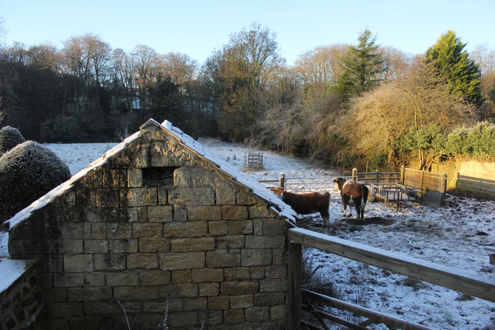 España Directo - Hilario, el pastor que llevaba incomunicado casi un mes