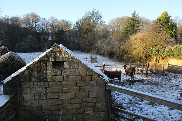 España Directo - Hilario, el pastor que llevaba incomunicado casi un mes