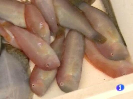 Informatiu Balear - Informatiu Balear - 01/09/09