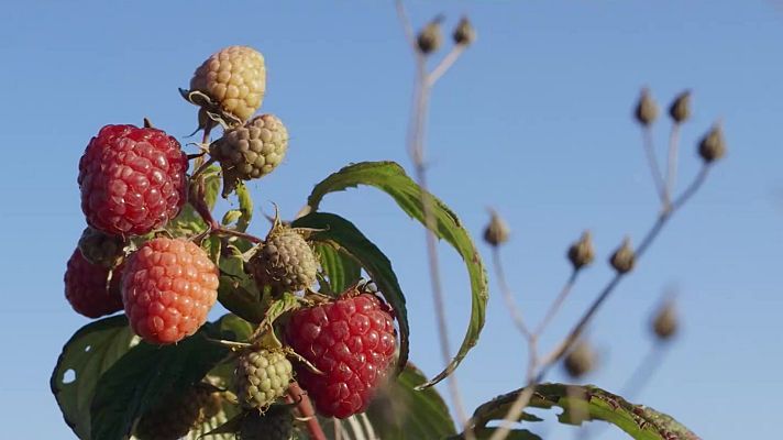 Red Natura 2000 - Programa 19