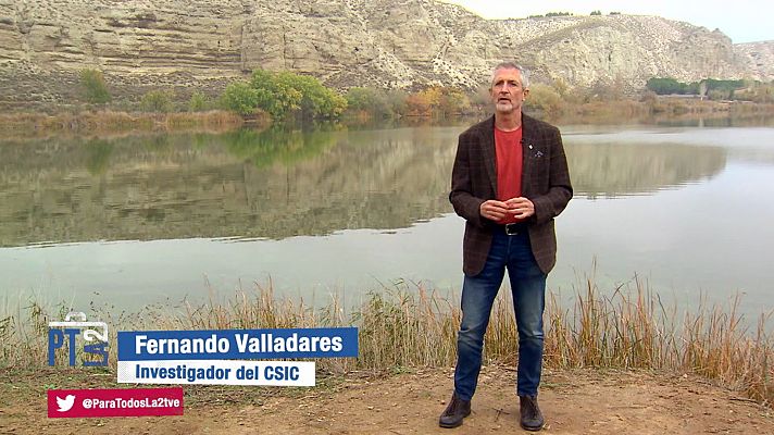 Para todos La 2 - Para todos La 2 - 16/01/21 - Lengua de signos