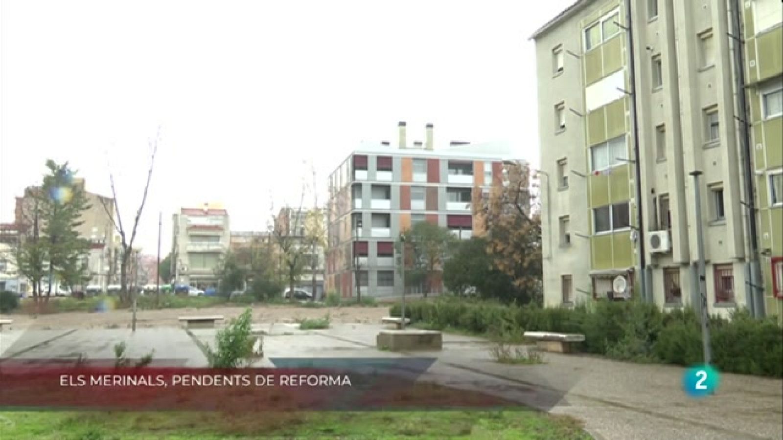 Els Merinals, pendent de reforma, Descobrint talents i L'esclat del escacs a La Metro