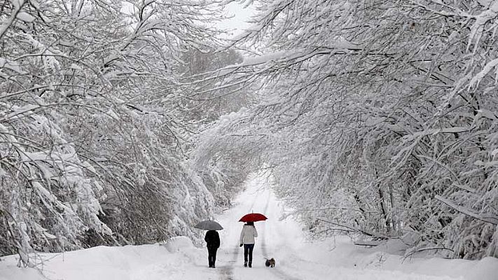 Saber vivir - La helada de enero