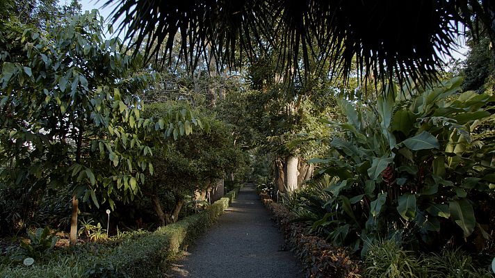 Jardines con historia - Tenerife: Jardín de aclimatación de La Orotava
