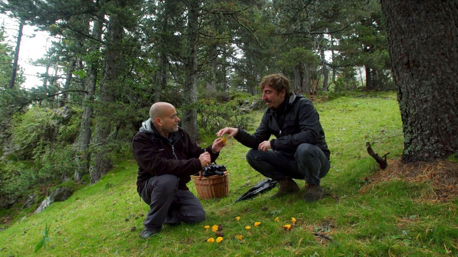 El señor de los bosques - Mirador dels Orris - ver ahora