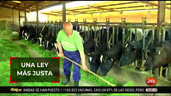 Parlamento - Resumen del 23/01/2021