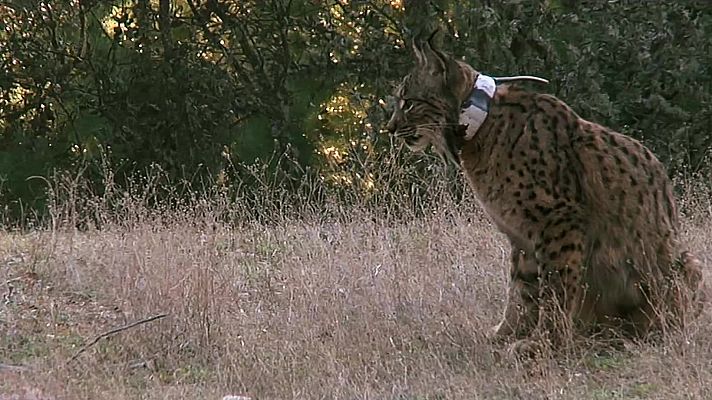 Red Natura 2000 - Programa 21