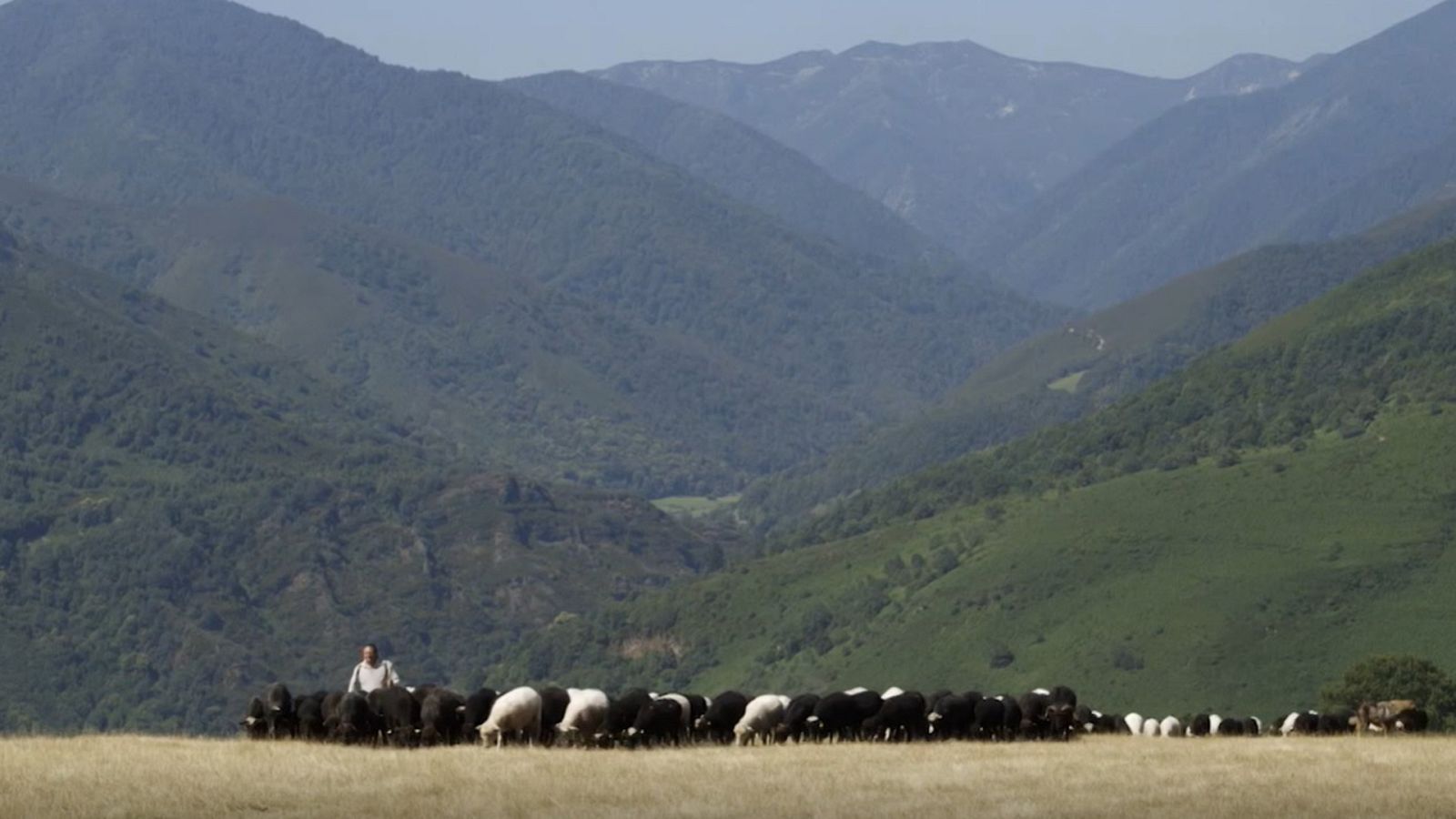 Red Natura 2000 - Programa 22 - ver ahora