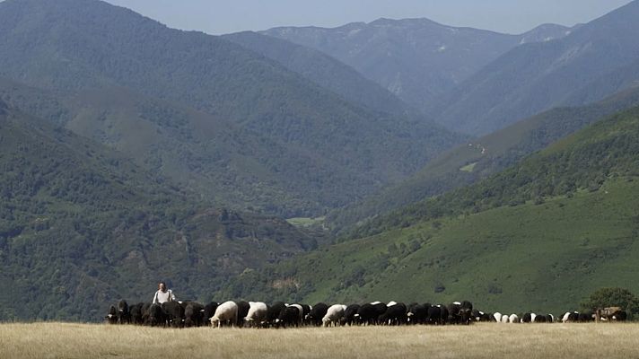 Red Natura 2000 - Programa 22