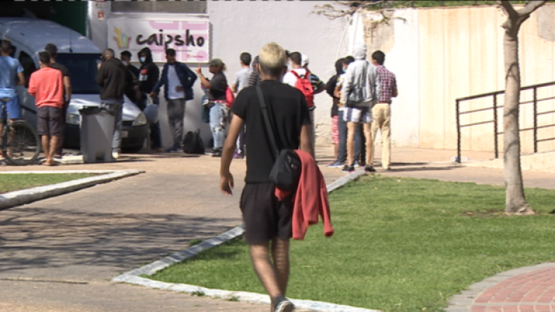 TELECANARIAS 2 - 26/01/2021