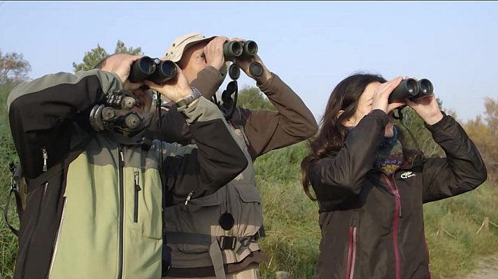 Red Natura 2000 - Programa 23