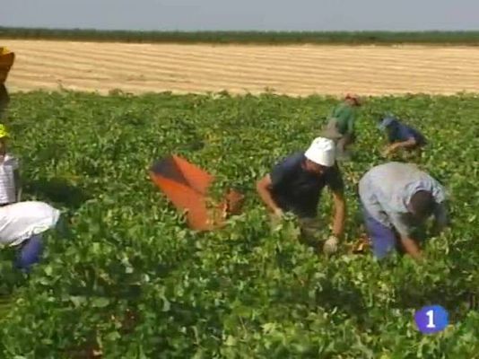 Noticias de Castilla-La Mancha - Noticias de Castilla-La Mancha - 02/09/09