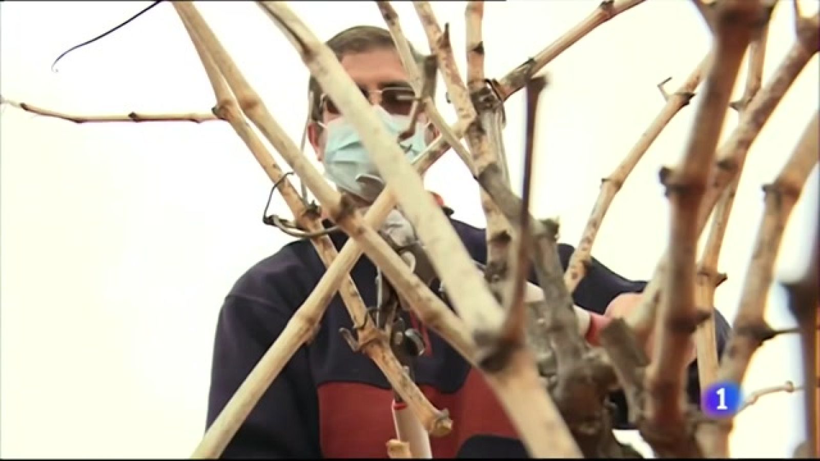 Sector del vino afectado por el cierre de la hostelería