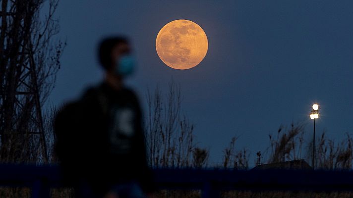 España Directo - España Directo - 28/01/21