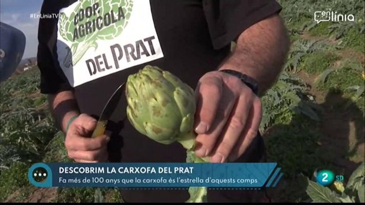 En Línia - Temporada de carxofes