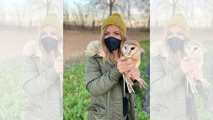 Aquí la Tierra - ¿Cómo es la suelta de los animales salvajes en su hábitat?