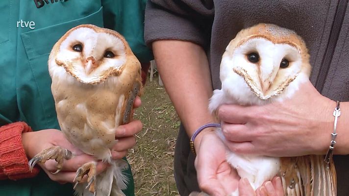 Aquí la Tierra - Aquí la Tierra - 29/01/21