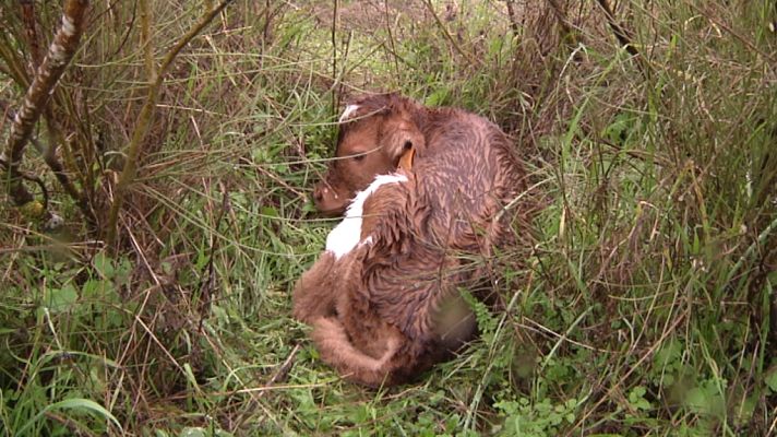 Tendido cero - Tendido cero - 30/01/21