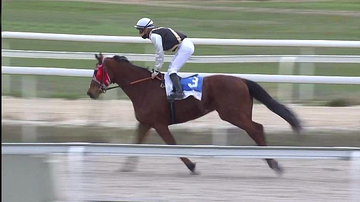 Hípica - Carreras de caballos (Hipódromo de La Zarzuela)