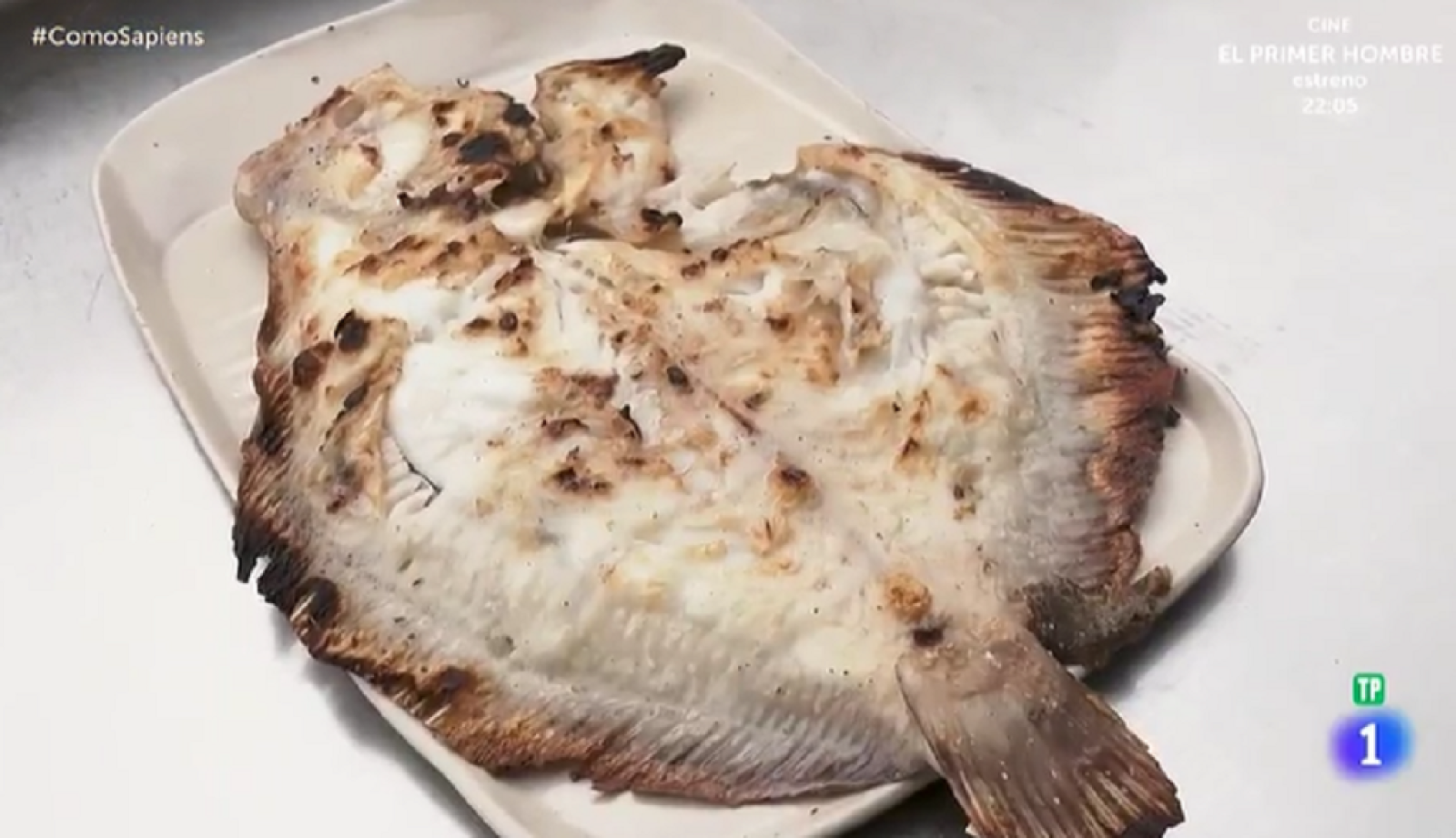 Rodaballo a la parrilla - Como sapiens | Ver