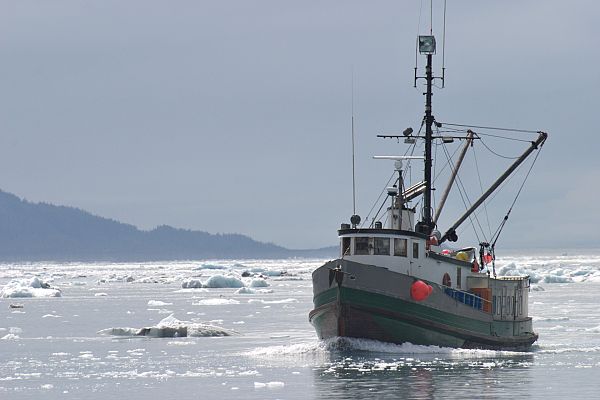 Aquí la Tierra - La lonja de Almería, mucho más que pescado
