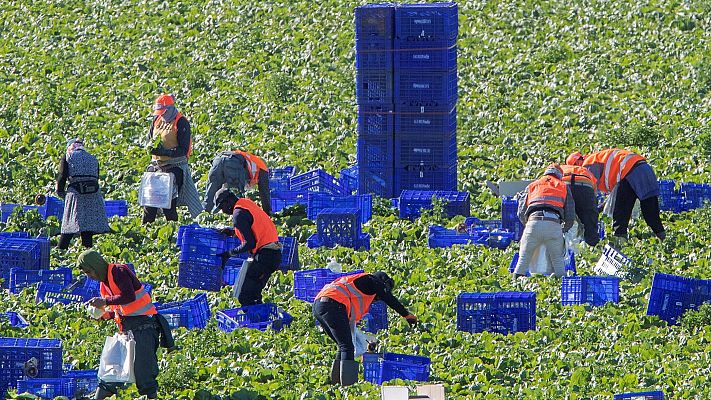 Informativo 24h - Temporeras y personas sin hogar tendrán acceso al IMV