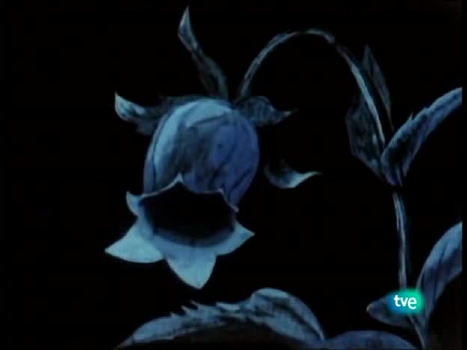 La abeja Maya - La Abeja Maya | Ver