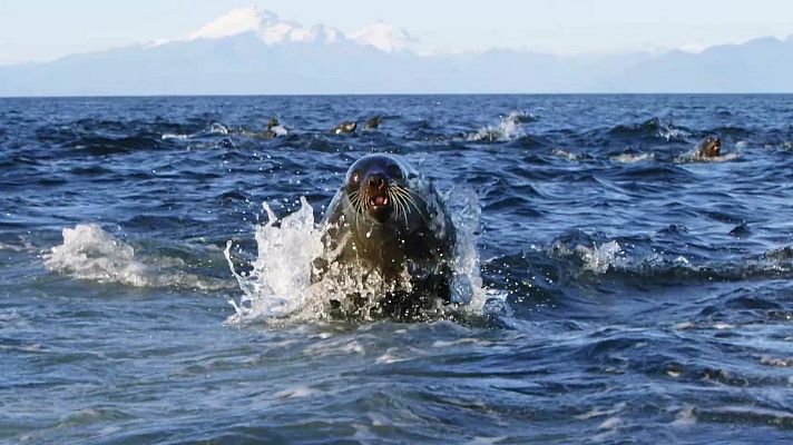 Grandes documentales - Chile salvaje: Una tierra ancestral