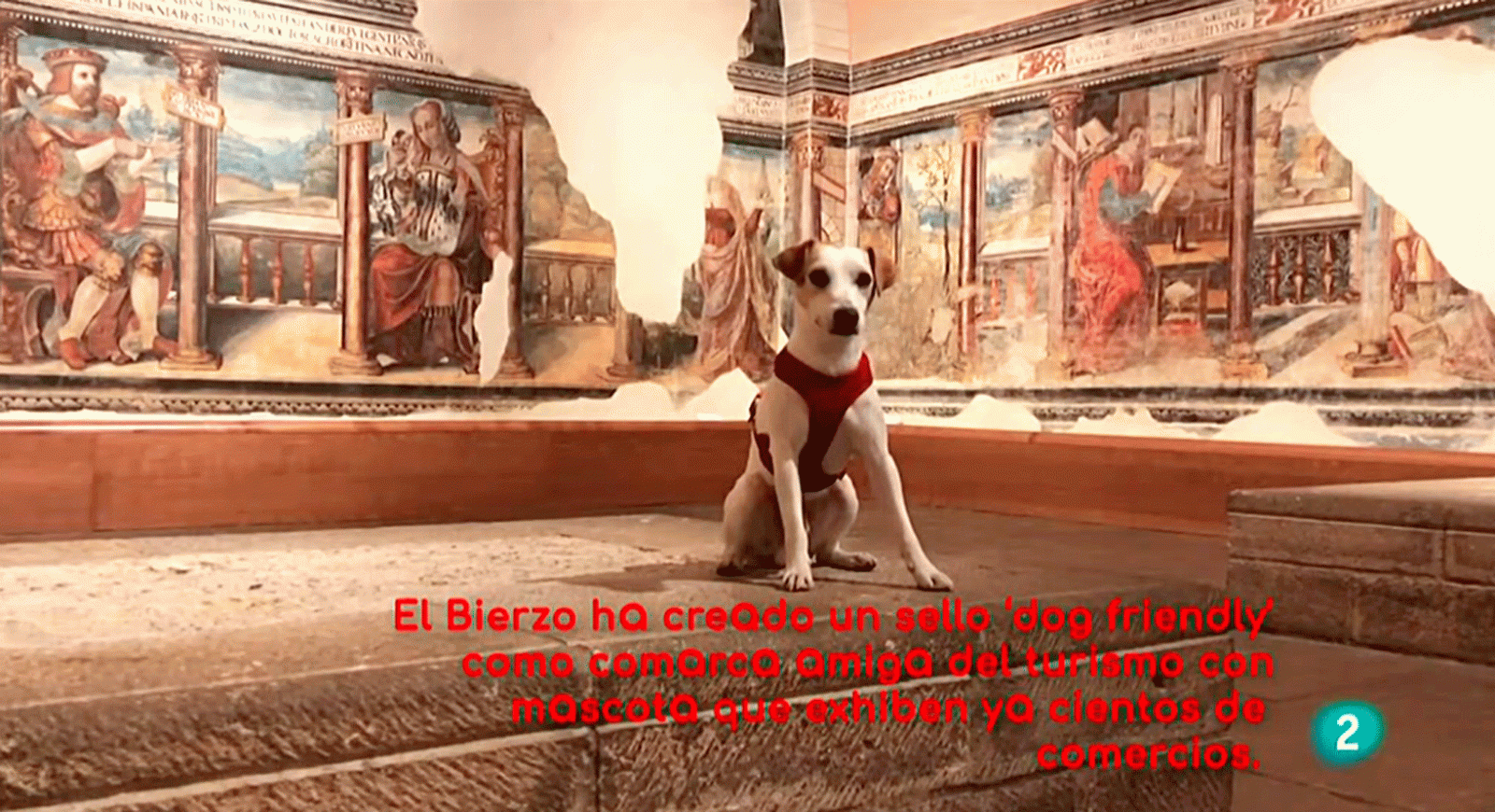 La aventura del saber Pipper El primer perro influencer amistad 'dog friendly' compañerismo respeto #AventuraSaberSociedad