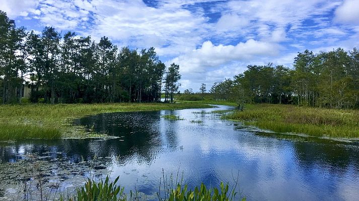 España Directo - España Directo - 02/02/21