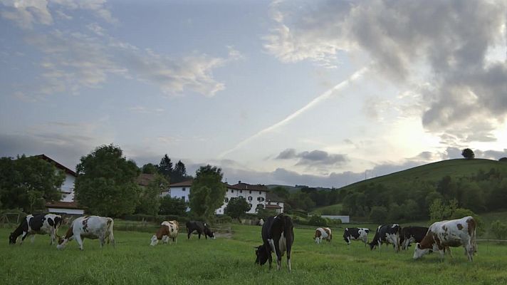Red Natura 2000 - Programa 28