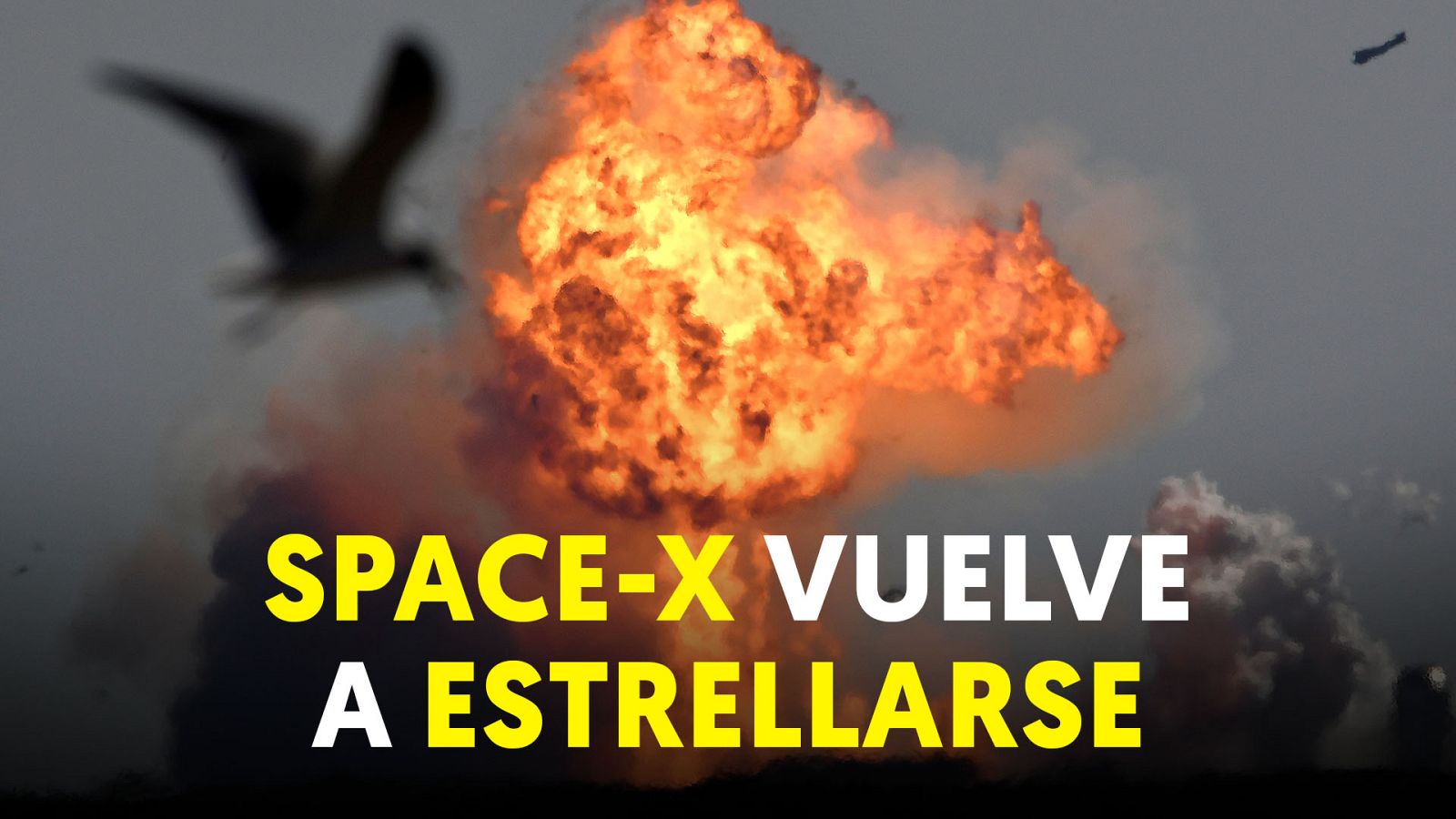 Explota al intentar aterrizar un prototipo del cohete Space X que quieren llevar a Marte