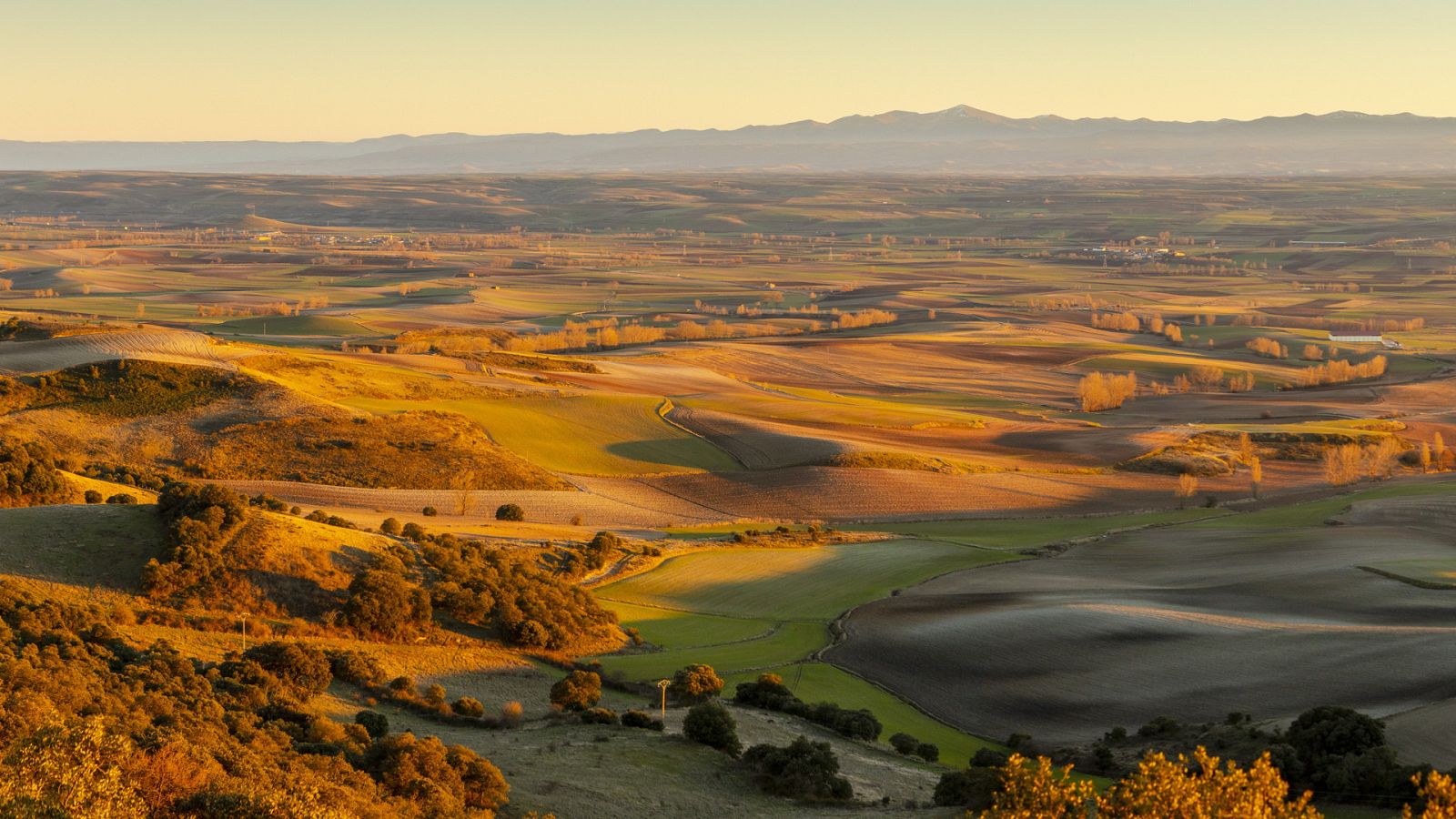 España Directo - 04/02/21 - ver ahora