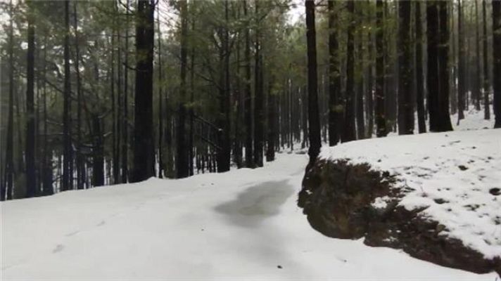 Telecanarias - Canarias en 2' - 05/02/2021