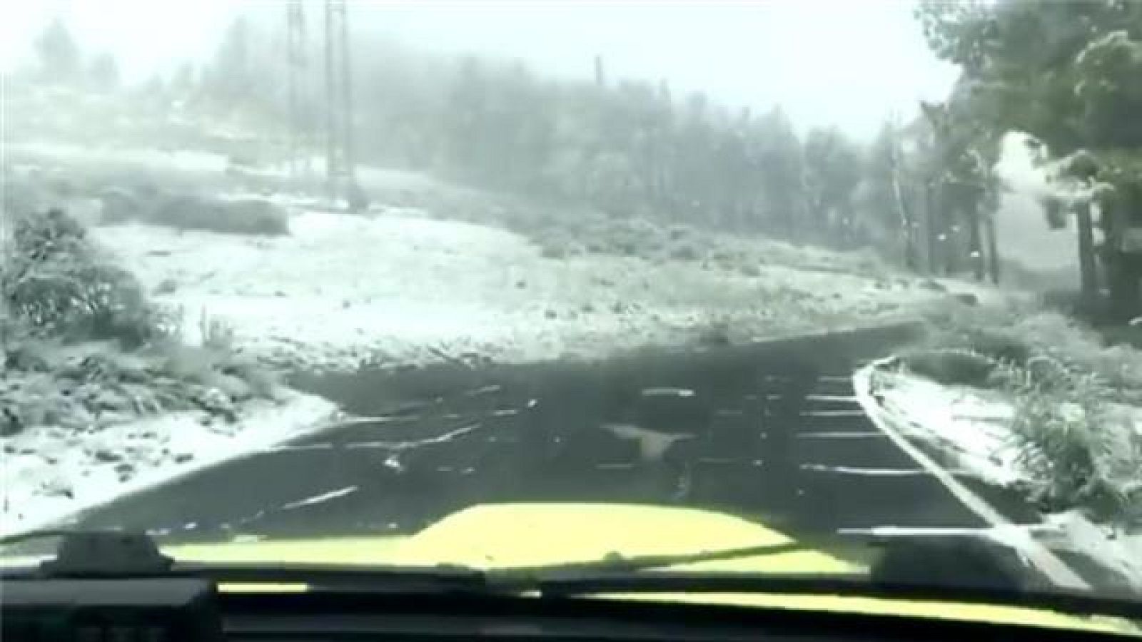 Telecanarias - 05/02/2021