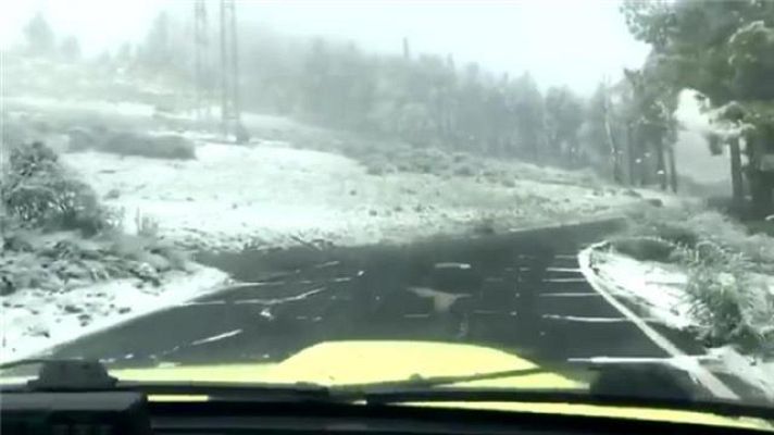 Telecanarias - Telecanarias - 05/02/2021