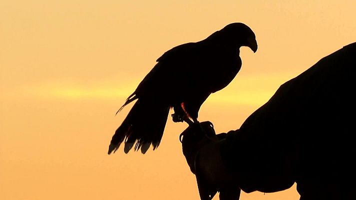 Jara y sedal - Pico a viento