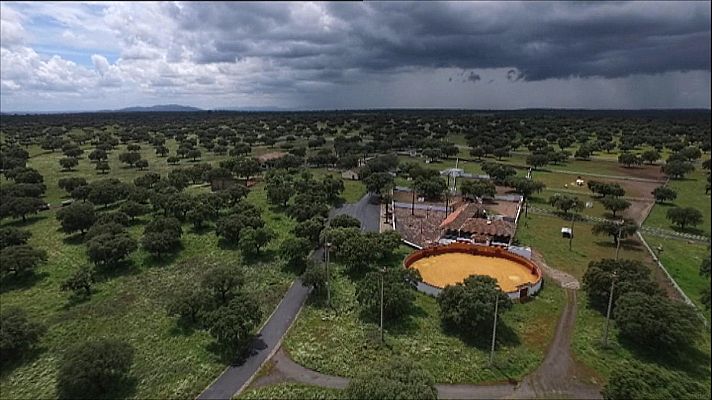 Tendido cero - Tendido cero - 06/02/21