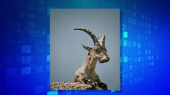 Saber y ganar - Saber y ganar. Edición de fin de semana - 06/02/21