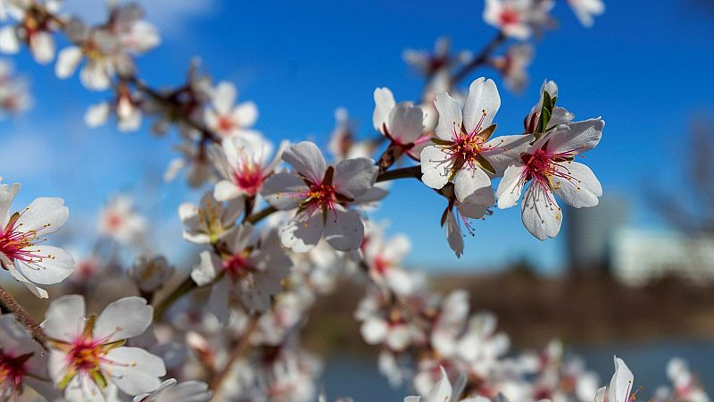 El frente que se desplaza hacia el este hará que suban las temperaturas - El tiempo | Ver