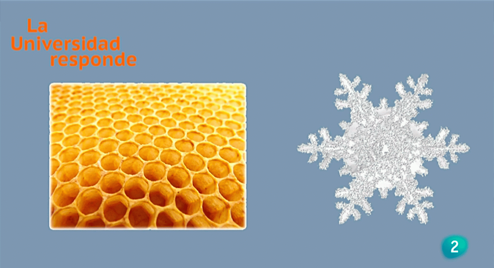 La aventura del saber  Por qué las pompas de jabón son redondas Santiago de Compostela Universidad Responde física #AventuraSaberUResponde