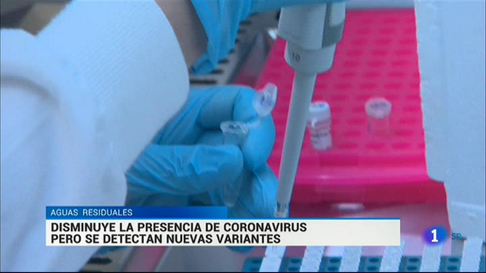 Informativo de Madrid - 2021/02/9- Ver ahora