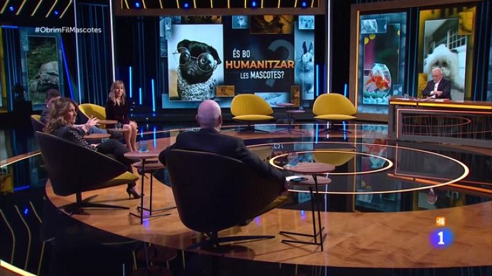 Obrim fil - Mascotes, un més de la família?