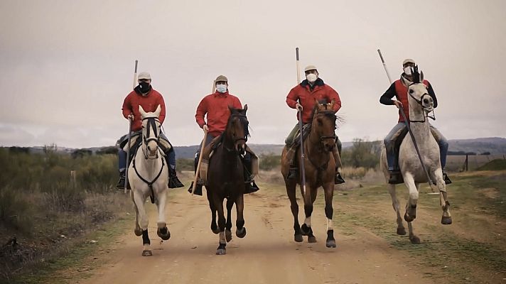 Tendido cero - Tendido cero - 13/02/21