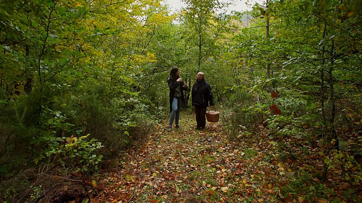 El señor de los bosques - Braña de las Cadenas