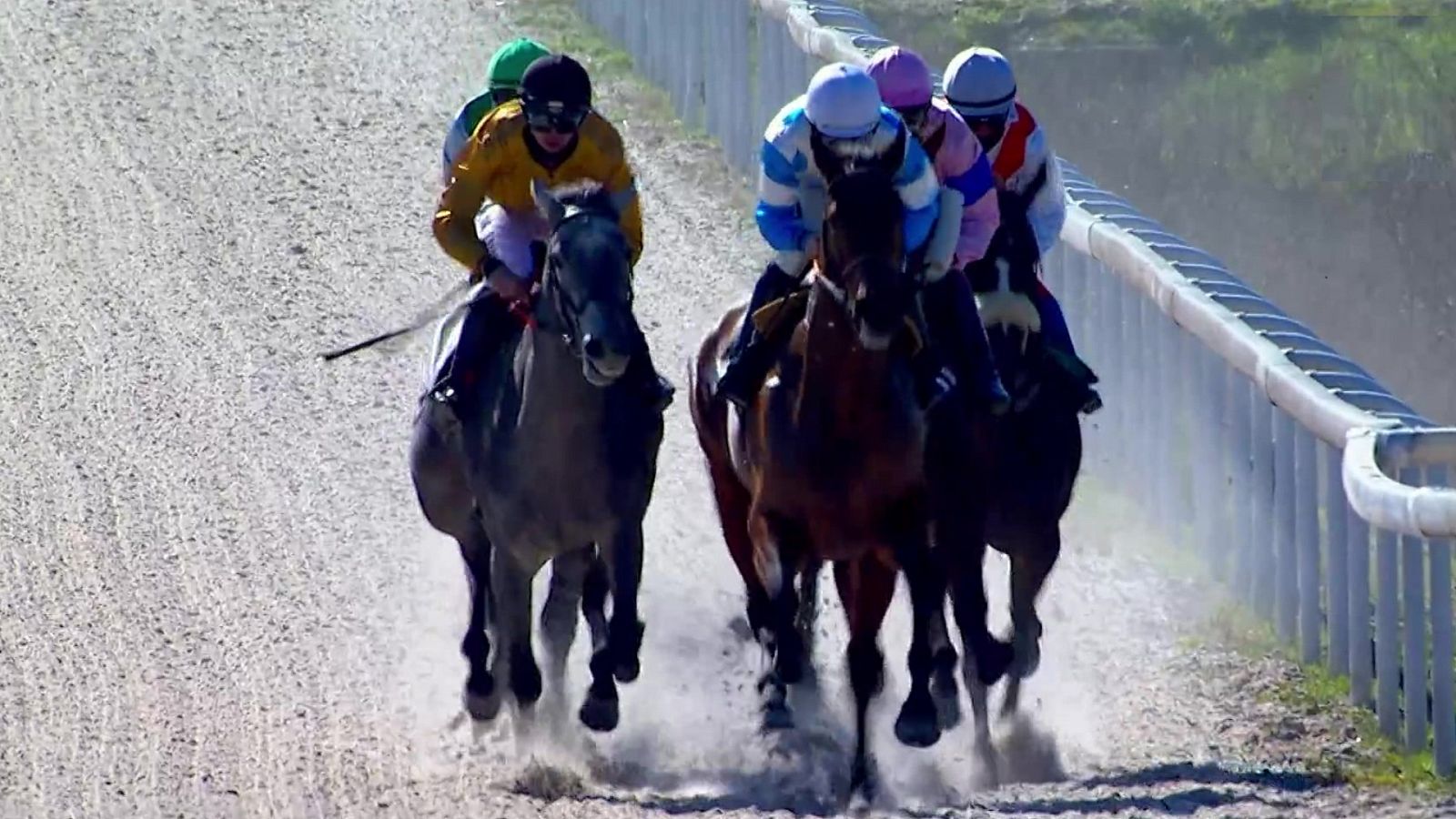 Hípica - Circuito nacional de carreras de caballos. Desde el hipódromo de La Zarzuela (Madrid) - ver ahora