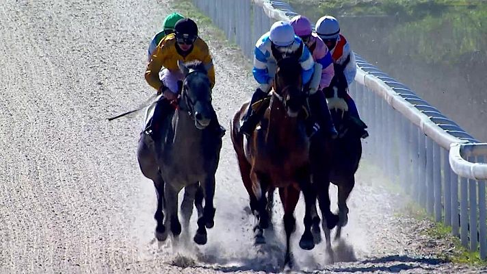 Hípica - Circuito nacional de carreras de caballos. Desde La Zarzuela