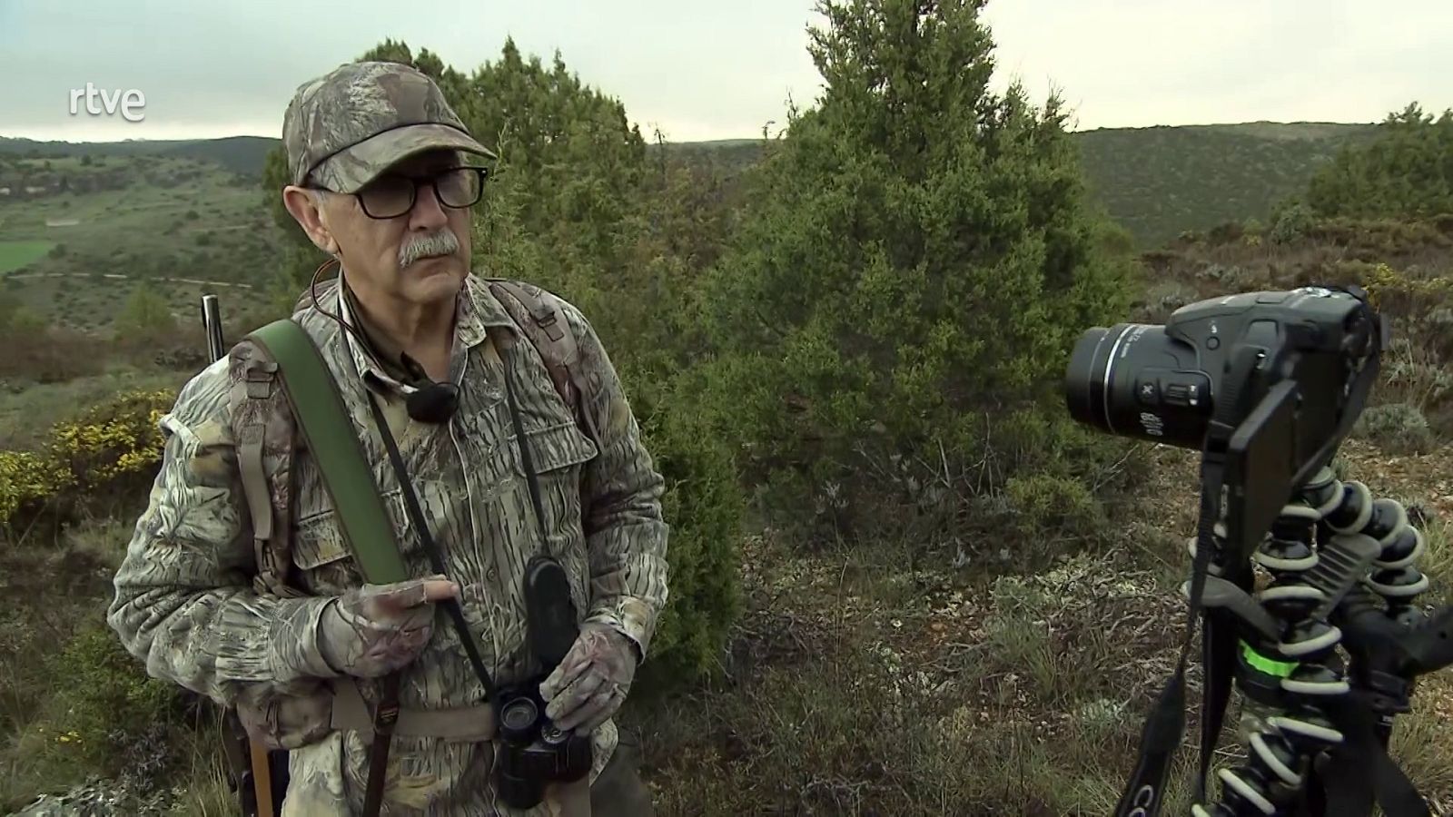 Jara y Sedal - Cazador de imágenes - Ver ahora