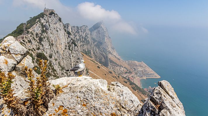 El tiempo - Levante fuerte en el área del Estrecho