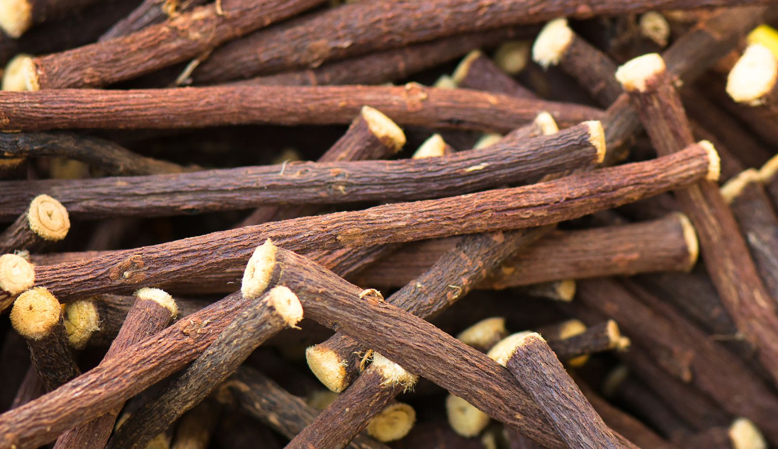 Aquí la Tierra - Desenterramos la historia del regaliz: Juan Plantas nos trae la chuchería de nuestra niñez